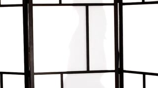 Stunning Silhouette - S13:E25