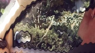 Lexi Belle gets fucked by a big cock