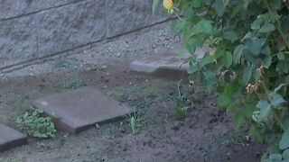 Ally Ann fucking in the kitchen counter with her innie pussy