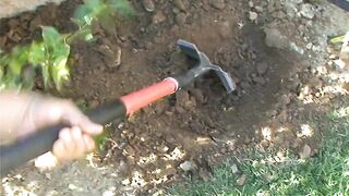 Wife Rebecca Blue's Backyard Tease Leads to Wild Couch Sex