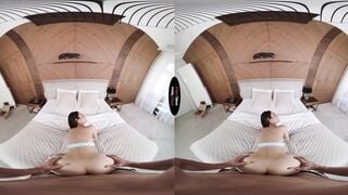 Stepdaddy, Look What I Got