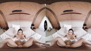 Stepdaddy, Look What I Got