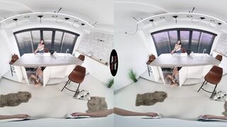 What Stepbrothers Are For