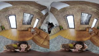 The Maid&rsquo;s Tale