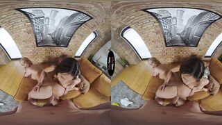 The Maid&rsquo;s Tale